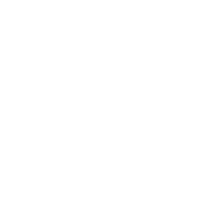 Cupra McCoy Motors